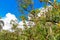 Jungle with blue sky and clouds. Mount Isabel de Torres, Puerto