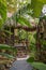 Jungle bungalow resort on Koh Chang island