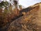 Jungle burned and soil erosion after from a dry monsoon season.