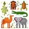 Jungle or exotic animals icons