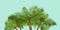 Jungle exotic composition. Vector banner wirh palm trees