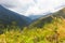 Jungle forest mountains hills canyon landscape view, Bolivia.