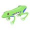 Jungle frog icon, isometric style