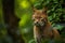 Jungle Gaze: Majestic Wild Cat in Lush Greenery