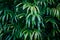 Jungle green leaves summer background in exotic tones