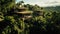 Jungle Hideaways: A Drone\\\'s View of Remote Homes Amidst the Wilderness