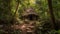 Jungle Hut, Made with Generative AI