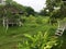 Jungle huts in tropical Thailand