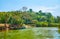 Jungle on the Kangy river`s bank, Myanmar