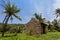 Jungle of La Digue, Seychelles