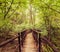 Jungle landscape in vintage style. Wooden bridge at tropical rain forest. Doi Inthanon Park, Thailand