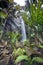 Jungle Landscape with Waterfall