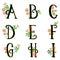 Jungle letters. Nature floral alphabet. Forest green gradient characters. Whimsical magic collection. Abcdefghi letter. Vector set