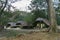 Jungle Lodges and Resort`s forest camp at Kabini, Karnataka, India