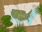 Jungle map america cartoon adventure