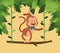 Jungle monkey cartoon