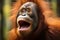 Jungle outcry young orangutan screams passionately in the wild