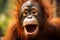 Jungle outcry young orangutan screams passionately in the wild