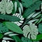 Jungle palm leaf seamless pattern. Ttropical palm leaves wallpaper