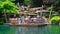 Jungle pontoon ferry ride at disneyland hong kong