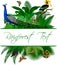 Jungle Rainforest Summer Tropical Leaves Wildlife Vector Design with great hornbill, peacock and butterflies