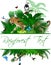 Jungle Rainforest Summer Tropical Leaves Wildlife Vector Design with jaguar, harpy eagle, coral snake, brown motmot, hummingbirds
