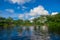 Jungle reflected on the river, inside of the amazon rain forest of Cuyabeno Natiional Park in Ecuador