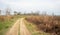 Jungle rural empty road. Chitwan National Park Nepal Asia