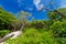 Jungle scenery of Similan islands