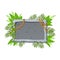 Jungle stone board with liana branches and tropical leaves. Stone banner elements for game and web in cartoon style.