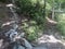 Jungle Switchback Trail