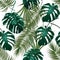 Jungle thickets of tropical palm leaves and monstera. Seamless floral pattern. Isolated on a white background