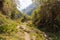 Jungle trail mountains, El Choro trek, Bolivia.