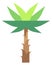 Jungle tree flat icon. Tropical green palm