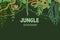 Jungle tropical background. Wildlife adventure in rainforest. Lina and leaves vegetation frame. Exotic landscape vector