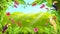 Jungle vector landscape, tropical forest background, toucan, parrot, exotic flower, sun rays.