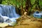 Jungle waterfall and ancient tree with prominent roots in Kuang Si near Luang Prabang in Laos, Southeast Asia.