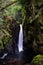 Jungle waterfall, vert