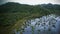 Jungle wetlands wilderness from helicopter