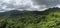 Jungles in El Yunque National Forest