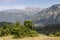 Juniper grows on the edge of the abyss region Tzoumerka, Epirus