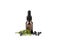 Juniper latin Juniperus communis berry essential oil in brown dropper bottle.