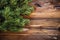 Juniper tree, close-up of wooden plank, wooden texture, plants background