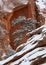 A juniper tree covered with snow grows on a red sandstone slope with an arch in the cliff behind it framing the tree