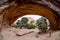 Juniper Trees Through Navajo Arch