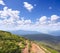 Juniperus sibirica near mountain road. Carpathian mountains. Ukraine