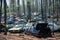 Junk cars in a forest in Virginia