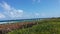 Juno beach pier