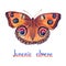 Junonia almana, peacock pansy, hand painted watercolor illustration with inscription