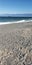 Jupiter beach florida shells coast